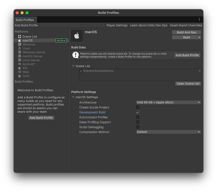 在构建配置文件中启用开发构建