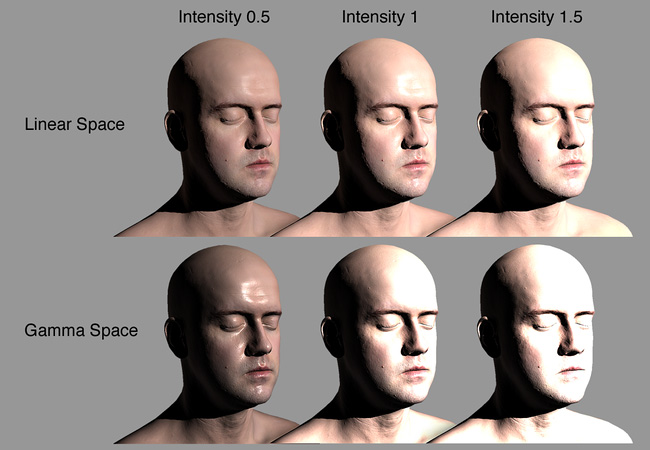 Lee Perry-Smith の Infinite 3D Head Scan。クリエイティブ・コモンズ・ライセンス 3.0 (www.ir-ltd.net で入手可能)