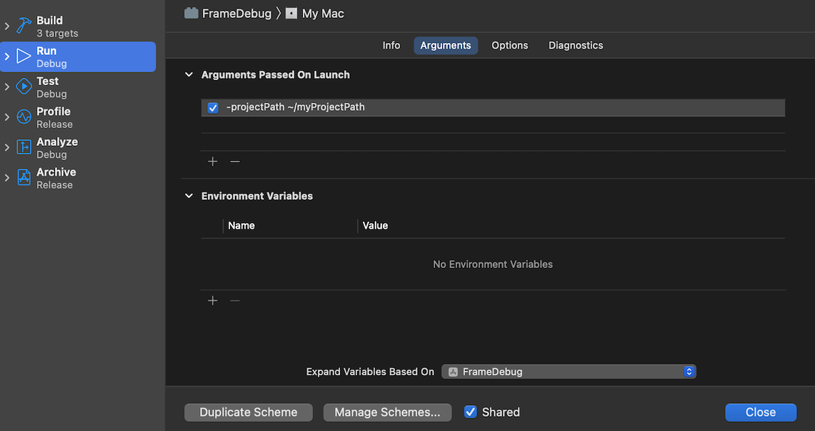 The FrameDebug window displaying the project path