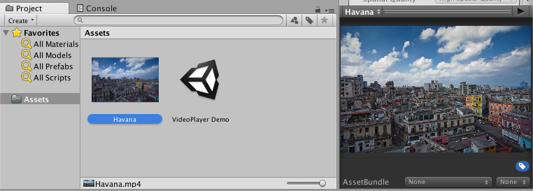 A Video Clip created by dragging and dropping a video file into the Project window